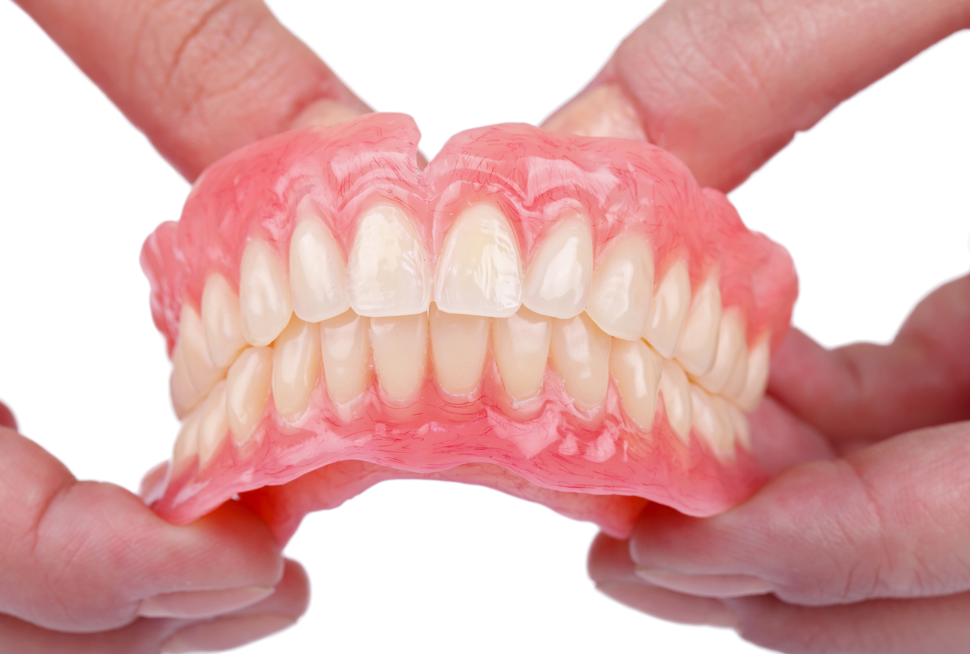 Close up of hands holding modern dentures. 