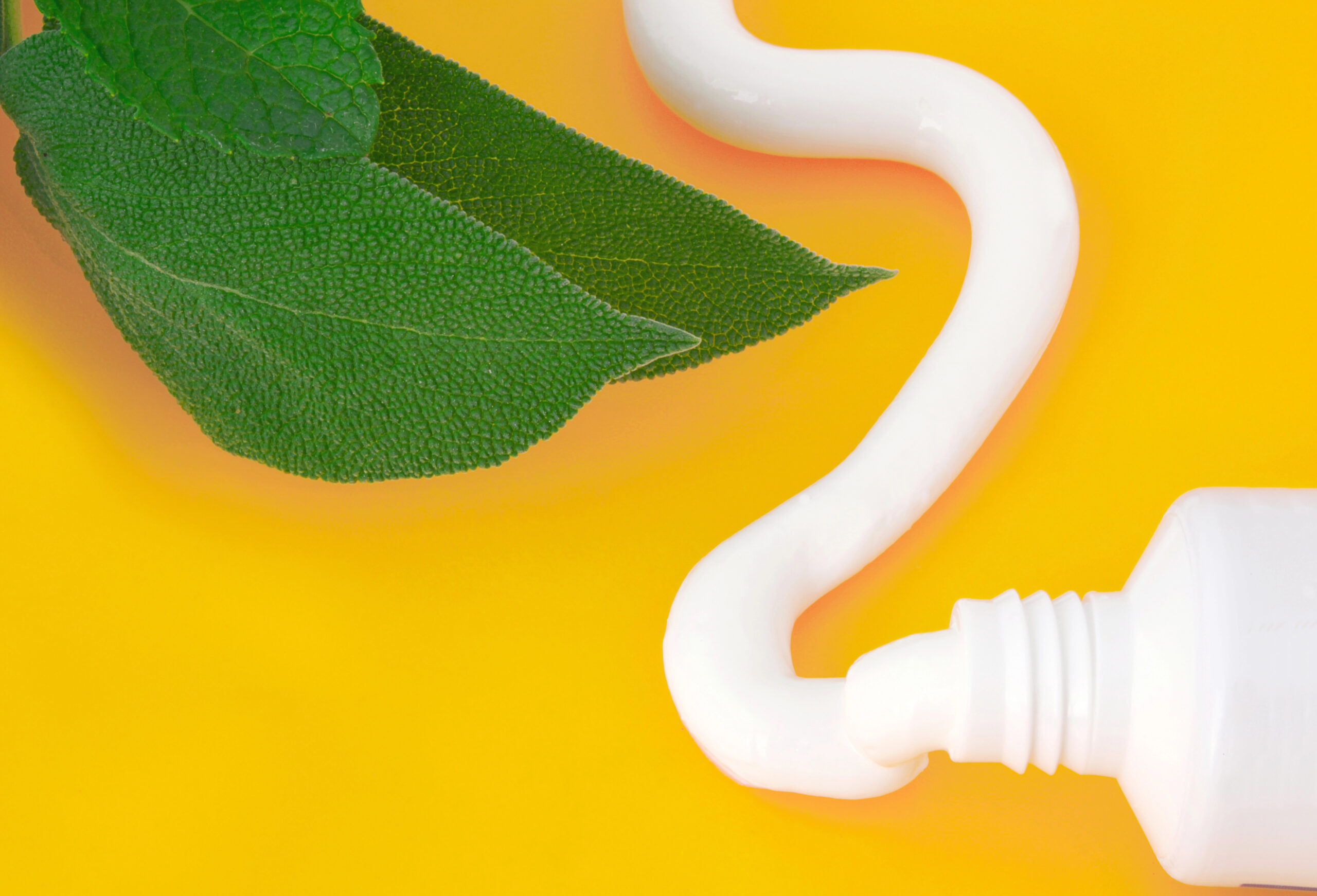 Image of toothpaste and mint leaves. 
