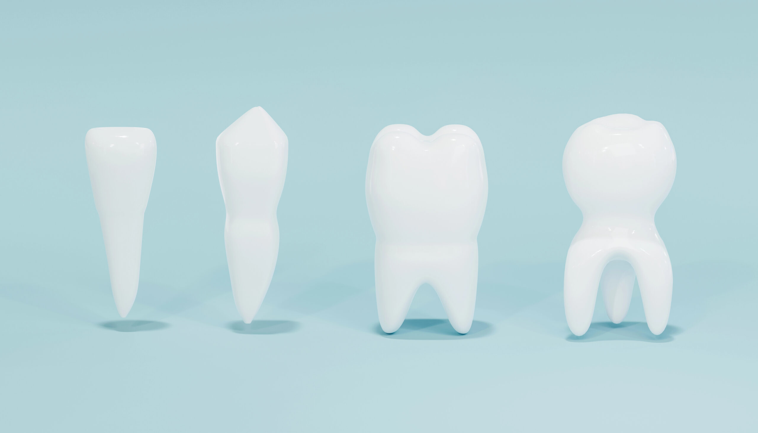 Image of four different types of teeth. 